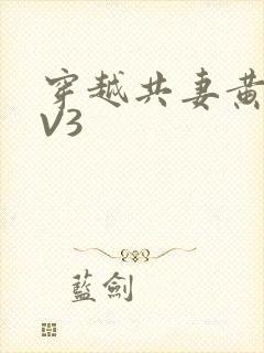 穿越共妻黄暴1V3