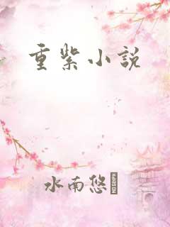 重紫小说