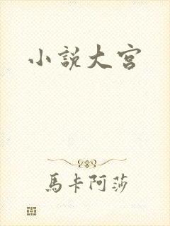 小说大宫