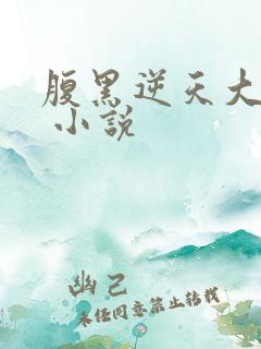 腹黑逆天大小姐 小说