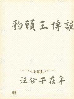 豹头王传说小说
