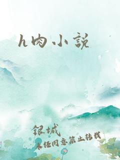 h肉小说