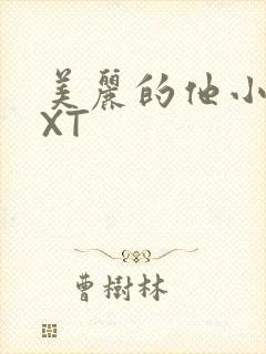 美丽的他小说TXT