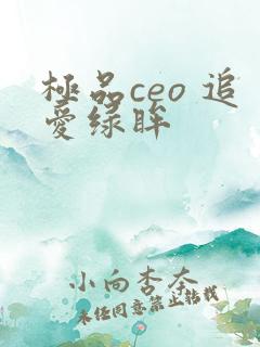 极品ceo 追爱绿眸