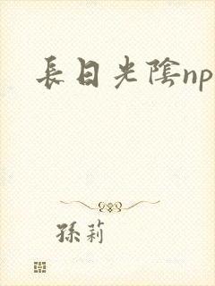 长日光阴np