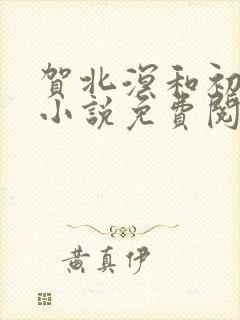 贺北溟和初夏的小说免费阅读无弹窗