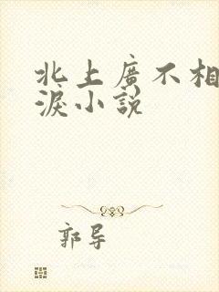 北上广不相信眼泪小说