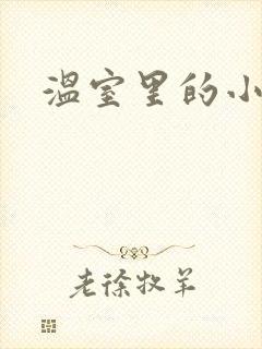 温室里的小百合