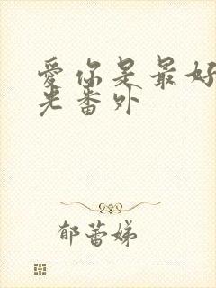 爱你是最好的时光番外