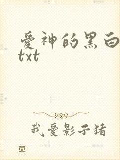 爱神的黑白羽翼txt