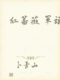 红蔷薇 军旅文