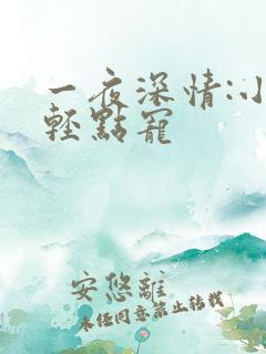 一夜深情:小叔轻点宠