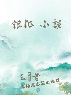 银狐 小说