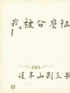 我被公么征服了1