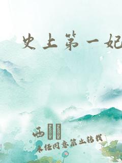 史上第一妃