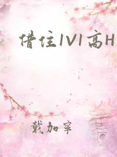 借住1V1高H