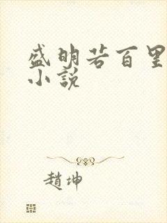 盛明若百里轻尘小说