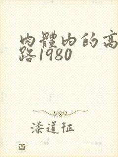 肉体内的高速公路1980