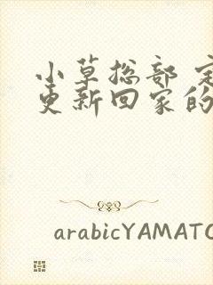 小草总部 定期更新回家的路