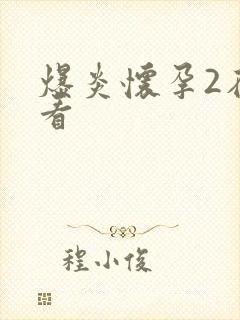 爆炎怀孕2在线看