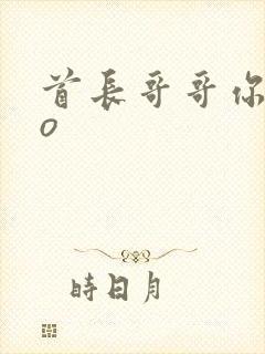 首长哥哥你好po