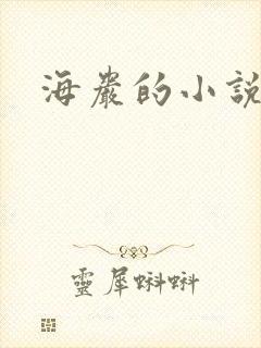 海岩的小说