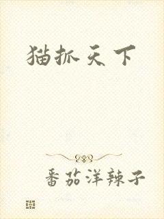 猫抓天下