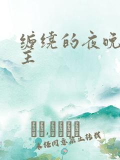 缠绕的夜晚双男主