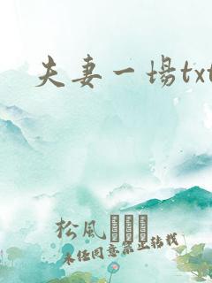 夫妻一场txt
