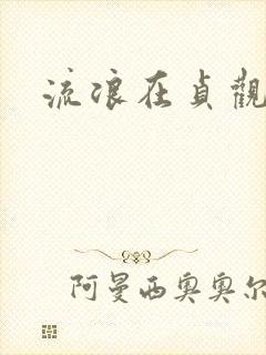 流浪在贞观年间