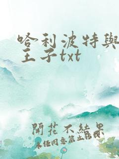 哈利波特与混血王子txt