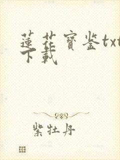 莲花宝鉴txt下载