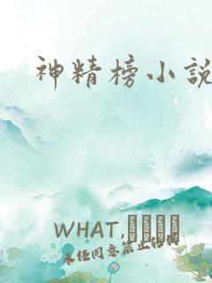 神精榜小说