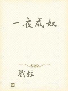 一夜成奴