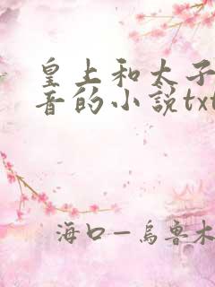 皇上和太子妃沈音的小说txt