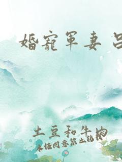 婚宠军妻 吕颜