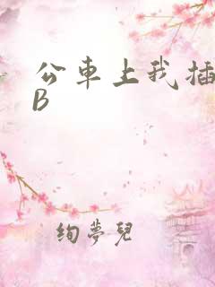 公车上我插上骚B