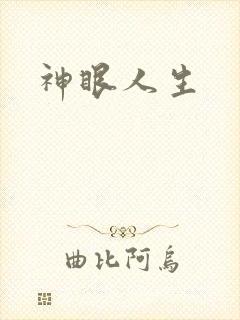 神眼人生