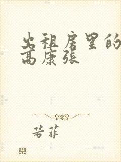 出租房里的交互高康张