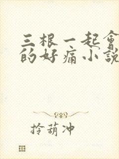 三根一起会坏掉的好痛小说