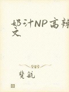 奶汁NP高辣H文