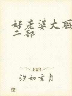 好老婆大联盟第二部