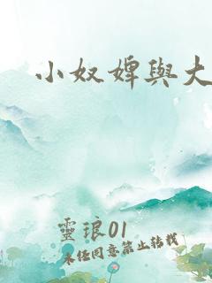 小奴婢与大少爷