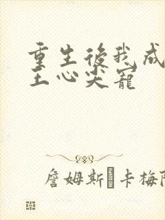 重生后我成了傻王心尖宠