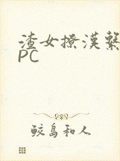 渣女撩汉系统NPC