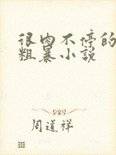 很肉不停的做很粗暴小说