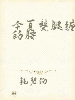 今夏双腿缠陆绎的腰