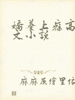 娇养上瘾高H爽文小说