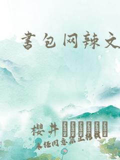 书包网辣文