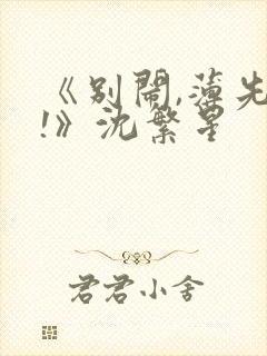 《别闹,薄先生!》沈繁星